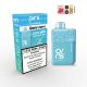 OVNS Ranger 10K – Cool Mint Disposable Vape | 10,000 Puffs